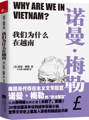 我们为什么在越南图书