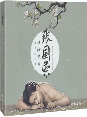 张国荣继续宠爱图文纪念集