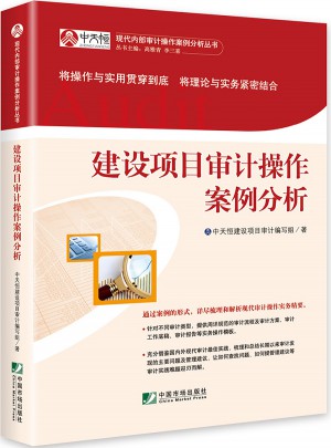 建设项目审计操作案例分析