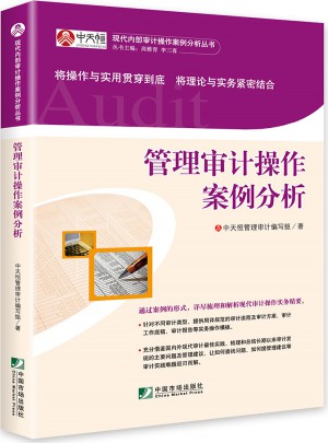 管理审计操作案例分析