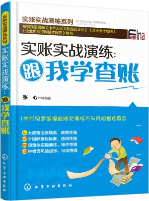 实账实战演练：跟我学查账