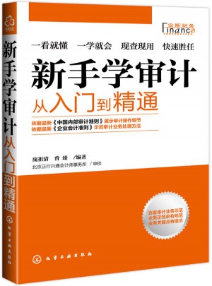 新手学审计：从入门到精通