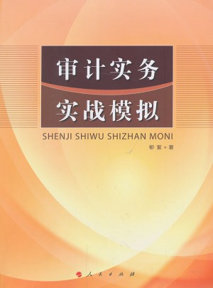 审计实务实战模拟