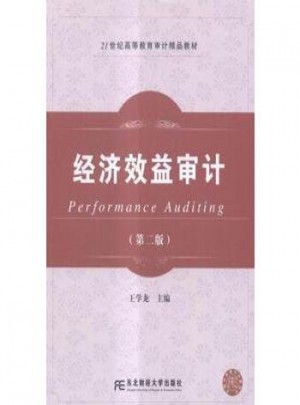 经济效益审计（第二版）