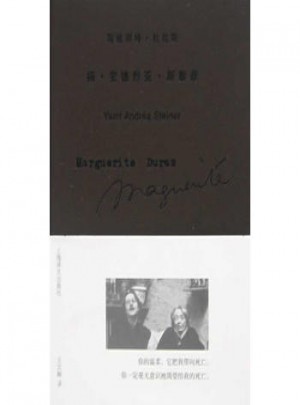 扬·安德烈亚·斯泰奈