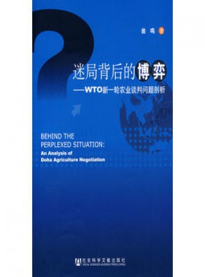 迷局背后的博弈