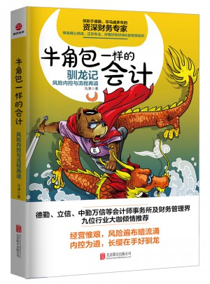 牛角包一样的会计：风险控制与流程再造