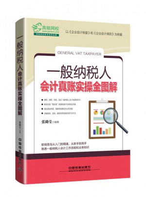 一般纳税人会计真账实操全图解