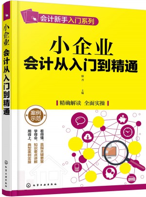 小企业会计从入门到精通