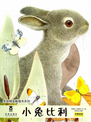 亮丽精美触摸书系列：小兔比利