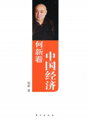 何新看中国经济