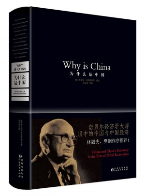 为什么是中国：诺贝尔经济学大师眼中的中国与中国经济图书