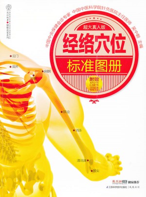 经络穴位标准图册（汉竹）