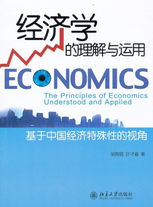 经济学的理解与运用：基于中国经济特殊性的视角图书