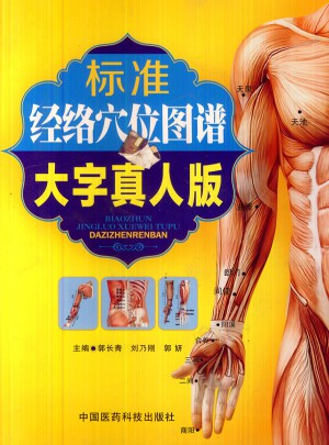 标准经络穴位图谱（大字真人版）