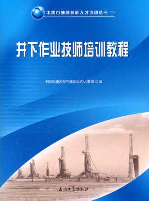 中国石油高技能人才培养丛书