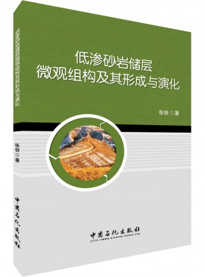 低渗砂岩储层微观组构及其形成与演化