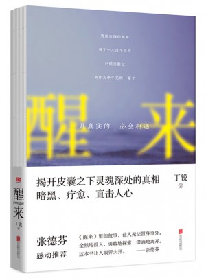 醒来：凡真实的，必会相遇图书