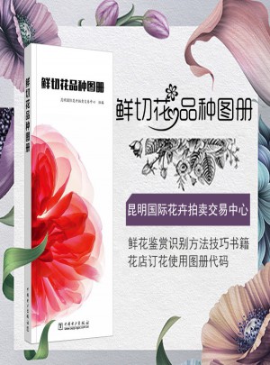 鲜切花品种图册