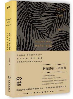 唯有孤独恒常如新