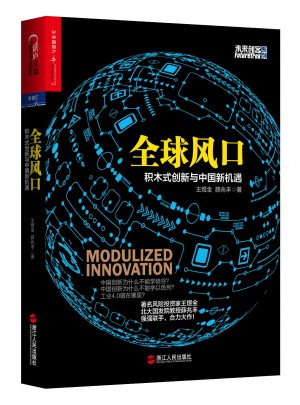 全球风口：积木式创新与中国新机遇图书