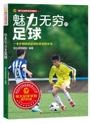 魅力无穷的足球：一本开创性的足球科普百科全书图书