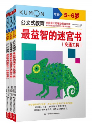 公文式教育：最益智的迷宫书套装（全3册）（5-6岁）