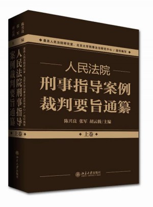 人民法院刑事指导案例裁判要旨通纂（上下卷）