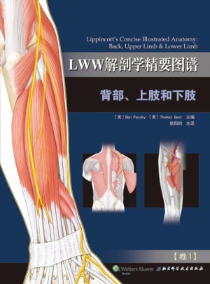 LWW解剖学精要图谱·背部上肢和下肢图书