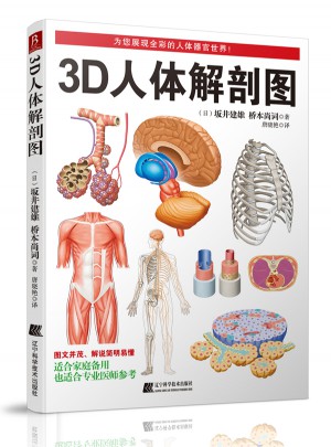 3D人体解剖图