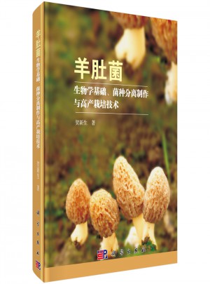 羊肚菌生物学基础、菌种分离制作与高产栽培技术图书