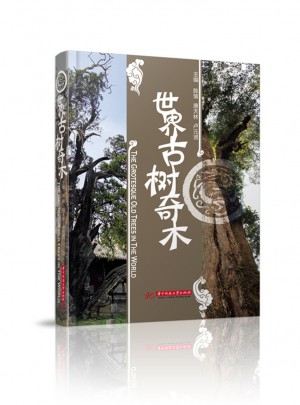 世界古树奇木