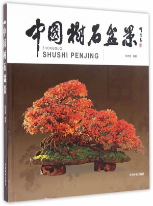 中国树石盆景(精)图书