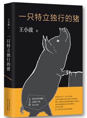 一只特立独行的猪