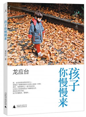 孩子你慢慢来：龙应台