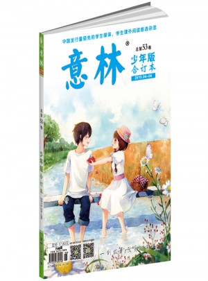 意林少年版合订本2015年04-06（总第五十三卷）