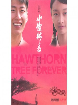 山楂树之恋图书