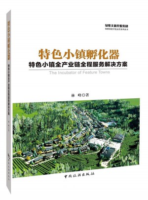 特色小镇孵化器：特色小镇全产业链全程服务解决方案