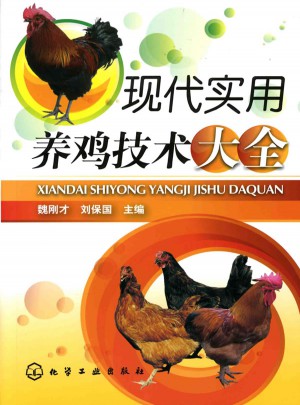 现代实用养鸡技术大全图书