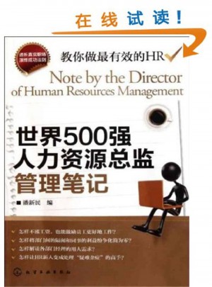 世界500强人力资源总监管理笔记