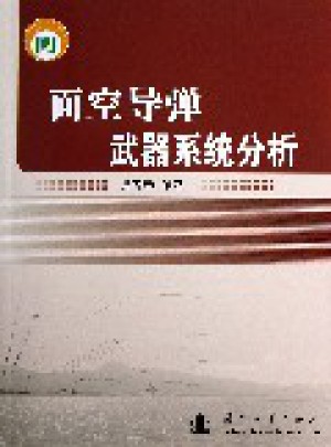 面空导弹武器系统分析
