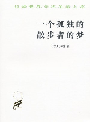 一个孤独的散步者的梦