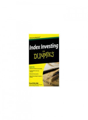Index Investing For Dummies指数投资指南图书