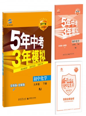 初中化学 九年级下册 5年中考3年模拟