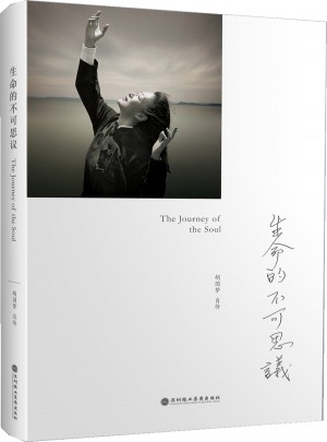 生命的不可思议：胡因梦自传