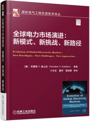 全球电力市场演进：新模式、新挑战、新路径