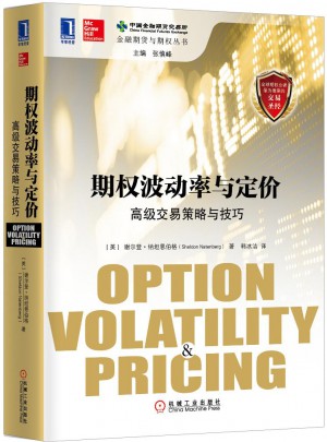 期权波动率与定价:高级交易策略与技巧