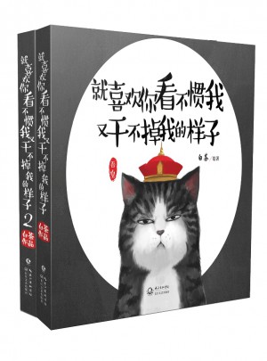 就喜欢你看不惯我又干不掉我的样子（套装全二册）