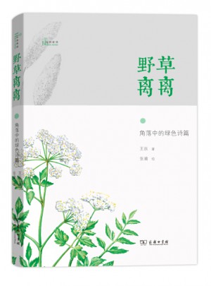 野草离离——角落中的绿色诗篇