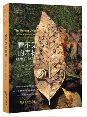 看不见的森林——林中自然笔记